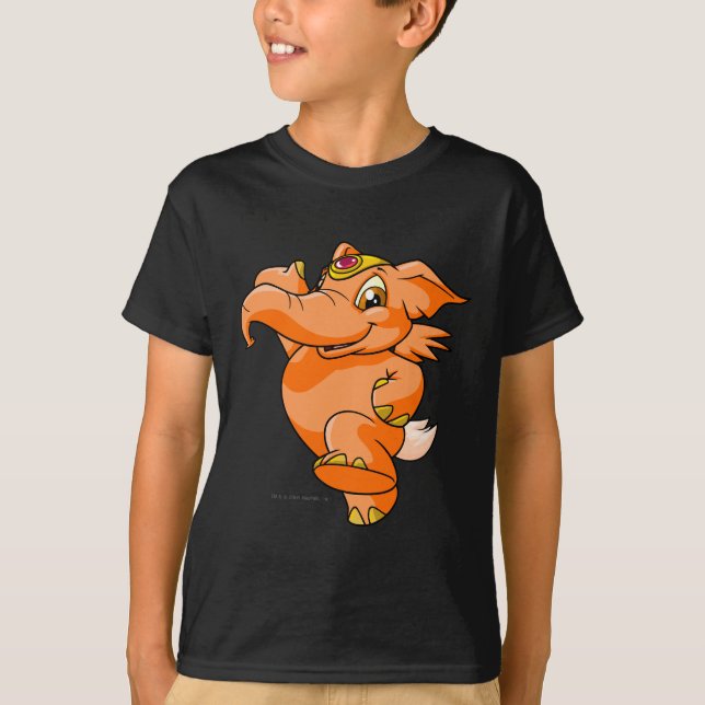 T-shirt Orange d'Elephante (Devant)