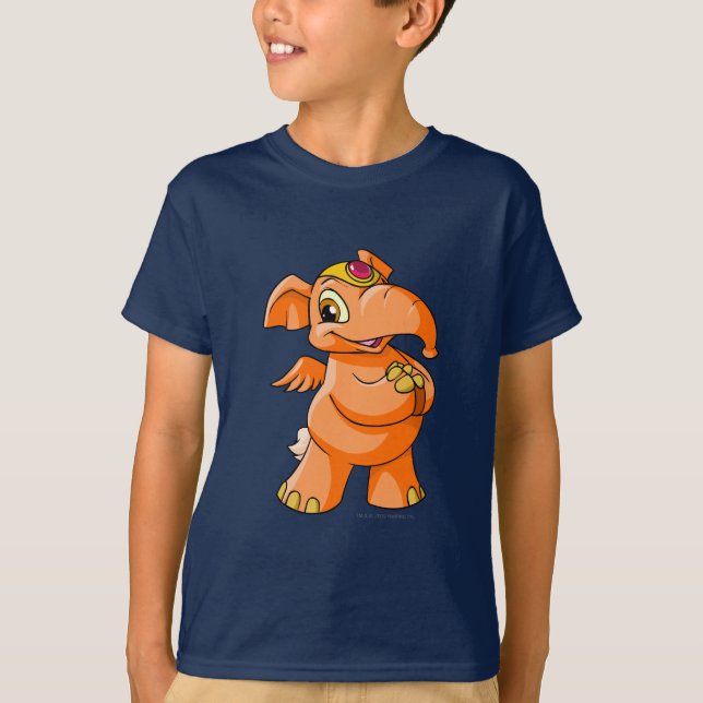T-shirt Orange d'Elephante (Devant)