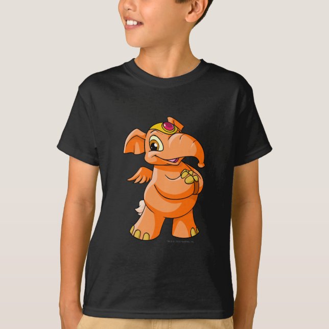 T-shirt Orange d'Elephante (Devant)