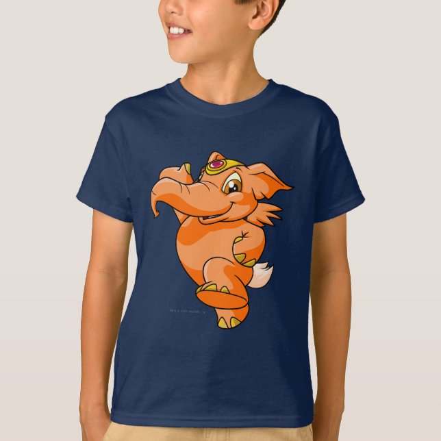 T-shirt Orange d'Elephante (Devant)