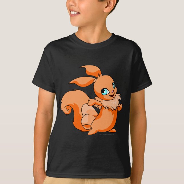 T-shirt Orange d'Usul (Devant)