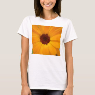 T-shirt Orange Pluie Daisy Ladies T Shirt