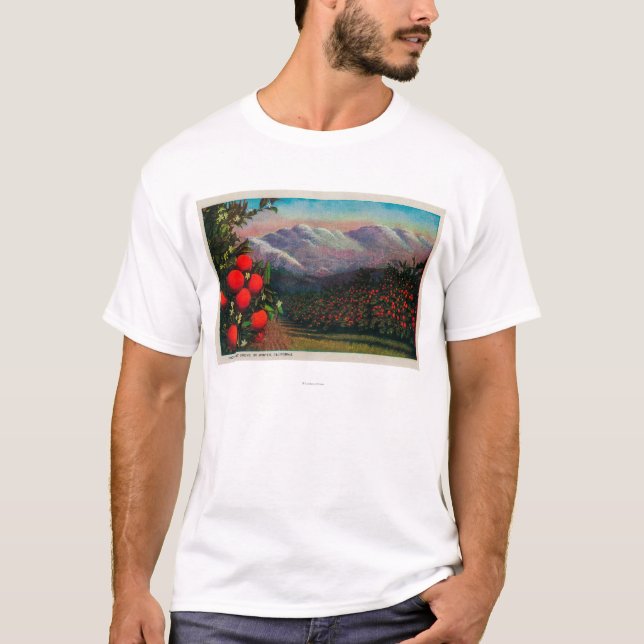 T-shirt Orangeraie de colline dans le WinterState (Devant)