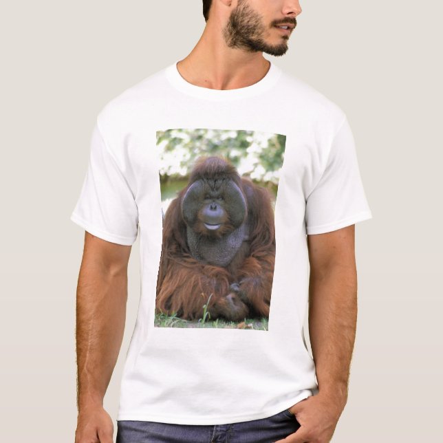 T-shirt Orangoutan Pongo Pygmaeus (Devant)
