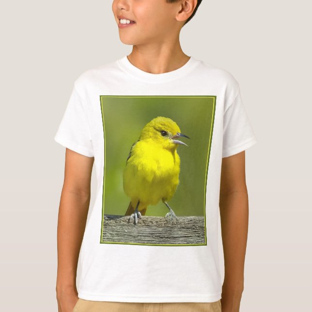 T-shirt Orchard Oriole - Photo originale (Devant)