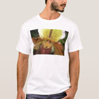 Orchidée