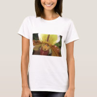 Orchidée