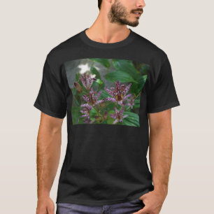 T-shirt Orchidée blanche rayée violette rose comme lys de