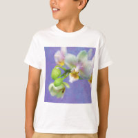 Orchidées