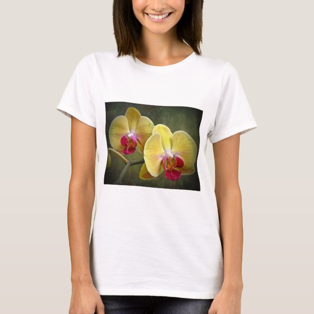 T-shirt Orchidées de teigne jaune - Phalaenopsis (Devant)