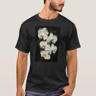 T-shirt Orchidées phalaenopsis blanches
