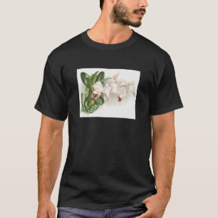 T-shirt Orchidées vintages Cattleya Labiata Gaskelliana Et
