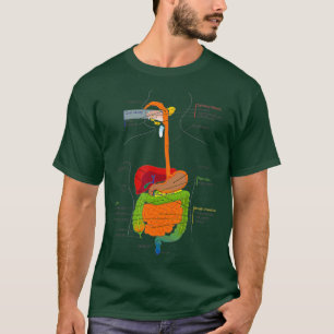 T-shirt Organes digestifs Diagramme Médicale