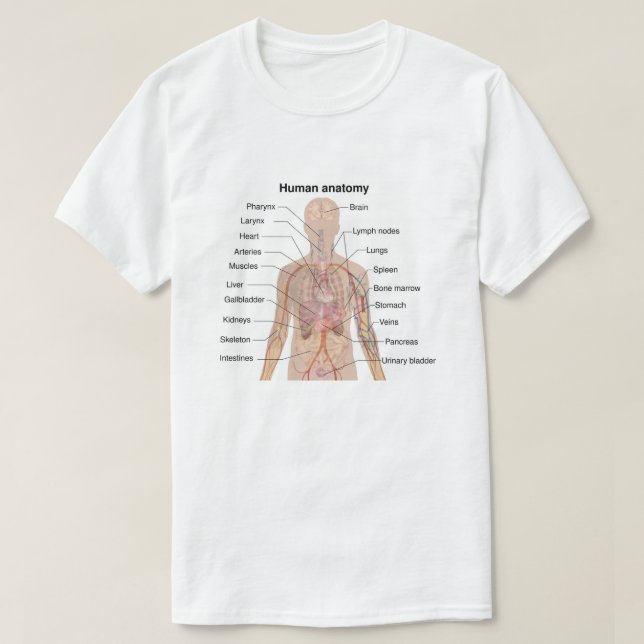 T-shirt Organes internes Anatomie du corps humain (Design devant)