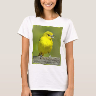 T-shirt Oriole des vergers - Photographie originale