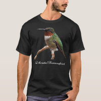 Ornithologie des colibris redessinés Dadoko