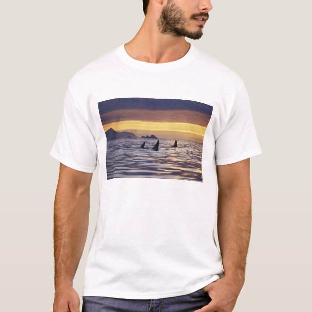 T-shirt Orque ou épaulard (Devant)