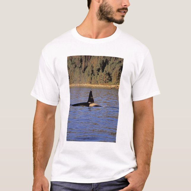 T-shirt Orque ou épaulard. (Devant)