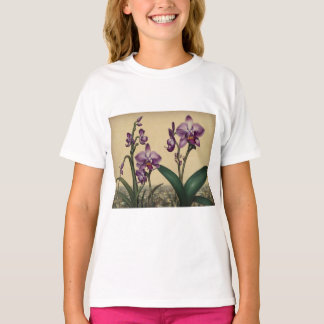 T-shirt orquydeas zapa