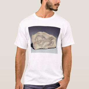 T-shirt Ostracon dépeignant un chien chassant une hyène