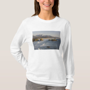 T-shirt OU, côte de l'Oregon, parc d'État d'Ecola, vue de
