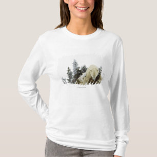 T-shirt Ours blancs au parc national de Wapusk
