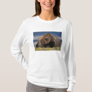 T-shirt Ours brun, grizzly, faisant une sieste, Katmai