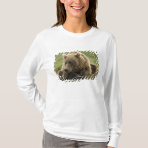 T-shirt Ours brun, ou Ours grizzly côtier, Ursus
