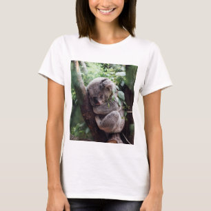 T-shirt Ours de koala