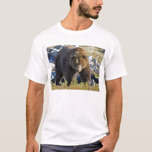 T-shirt Ours gris