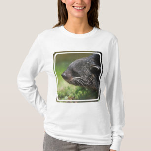 T-shirt Ours Hoody de Binturong