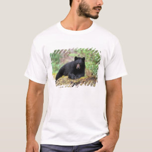 T-shirt Ours noir sur une vieille bille de bois dans la