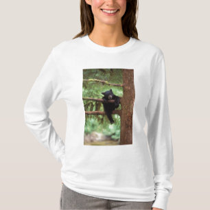 T-shirt ours noir, Ursus americanus, ourson dans un arbre