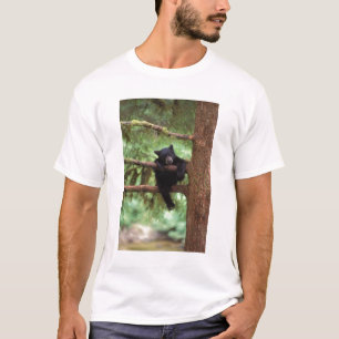 T-shirt ours noir, Ursus americanus, ourson dans un arbre