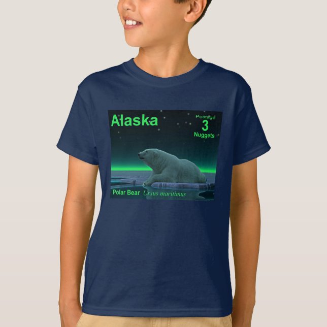 T-shirt Ours polaire à bord de glace (Devant)