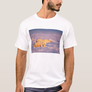 T-shirt Ours polaire semé avec des petits à ressort sur le