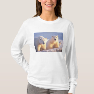 T-shirt Ours polaire semé avec un petit sur la glace de me