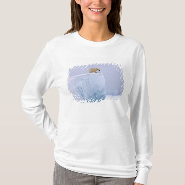 T-shirt ours polaire, Ursus maritimus (Devant)