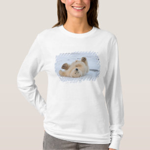 T-shirt ours polaire, Ursus maritimus, ourson roulant 3