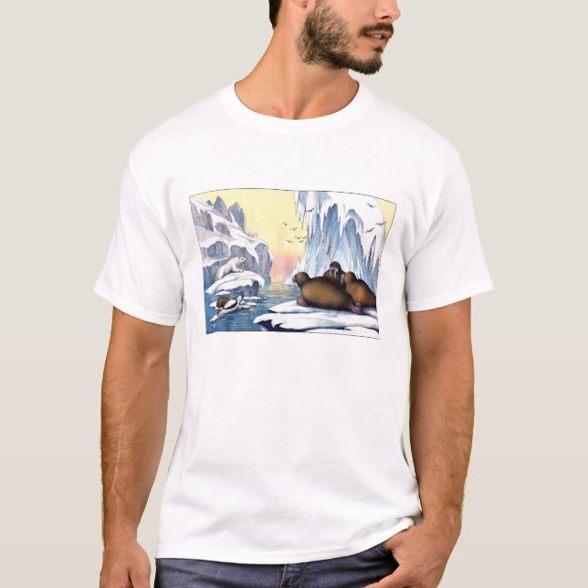 T-shirt Ours Polaires, Walrus Et Phoques (Devant)