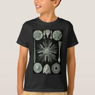 T-shirt Oursins