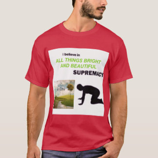 T-shirt OWL CITY ALLHINGS BRIGHT AND BEAUTIFUL vintage