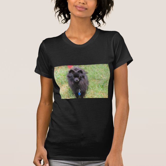 T-shirt Pablo le Pomeranian (Devant)