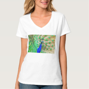 T-shirt Pacock