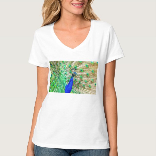 T-shirt Pacock (Devant)
