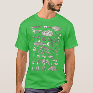 T-shirt Paléontologie Illustration 6