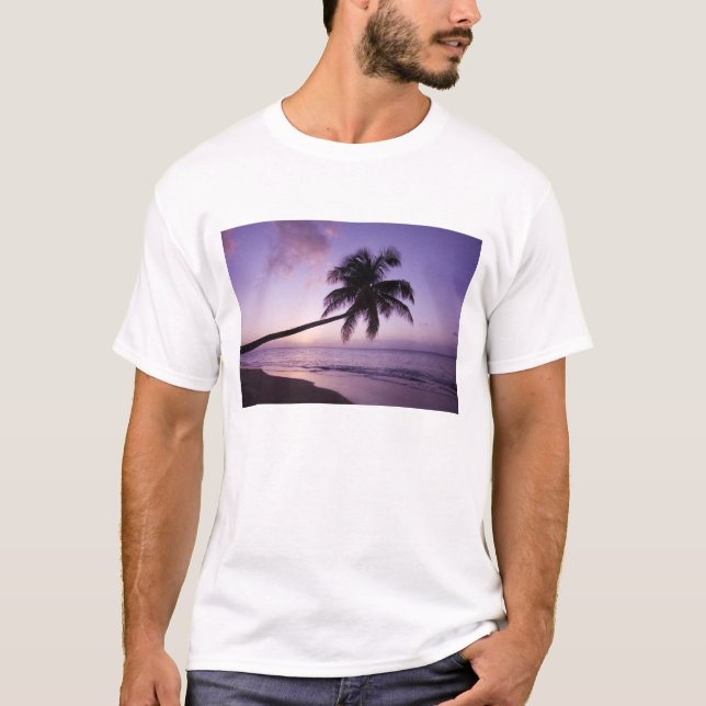 T-shirt Palmier solitaire au coucher du soleil, plage de C (Devant)