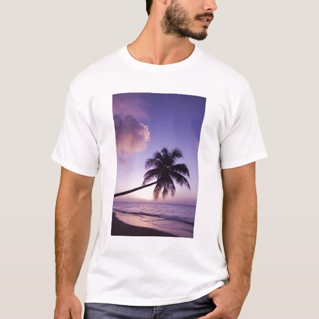 T-shirt Palmier solitaire au coucher du soleil, plage de C (Devant)