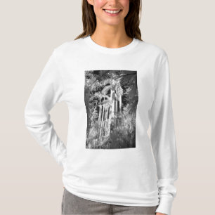 T-shirt Palmistes royaux indigènes dans Fakahatchee Strand