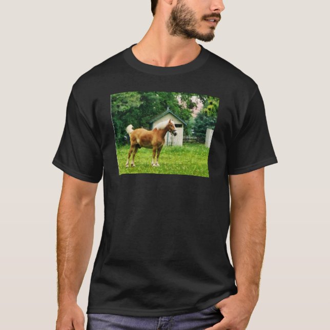 T-shirt Palomino en pâture (Devant)